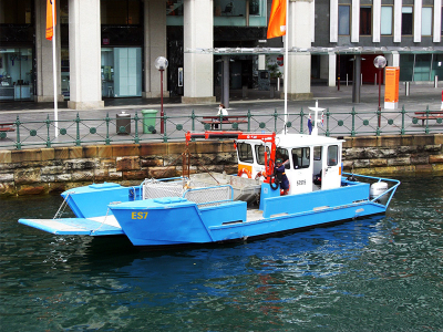 Grúa marina Maxilift 300