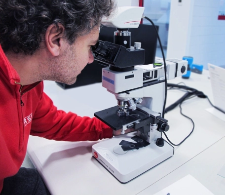 Revista Fassi Lifting Tomorrow nº8