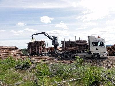 Grúa forestal & reciclaje no plegable L120K