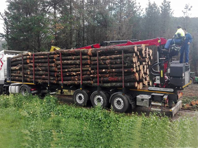 Grúa forestal & reciclaje no plegable L75K