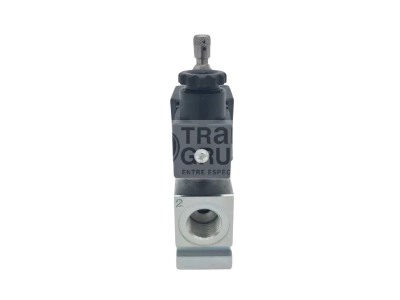 R0017 PINAP 212E Electroválvula 24v 1-2 (3).webp