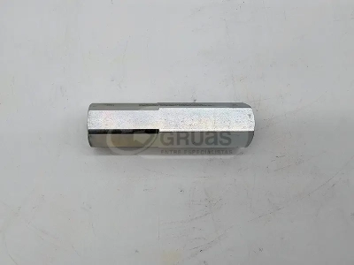 Valvula antiretorno VA301 para grúas Fassi